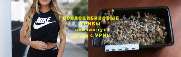 Альфа ПВП Богданович