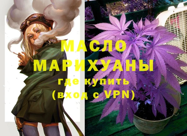 тгк Богородицк