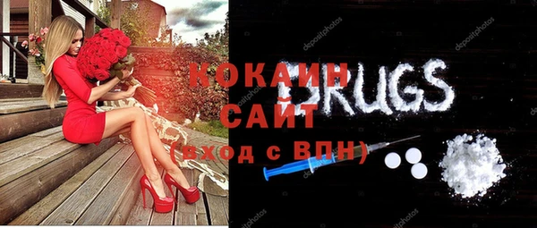 тгк Богородицк