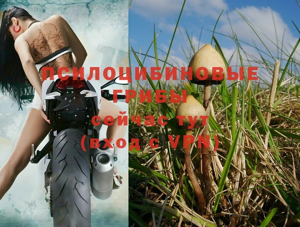 Альфа ПВП Богданович